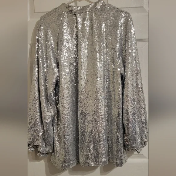 Silver Sequin Dress - Picture 3 of 5